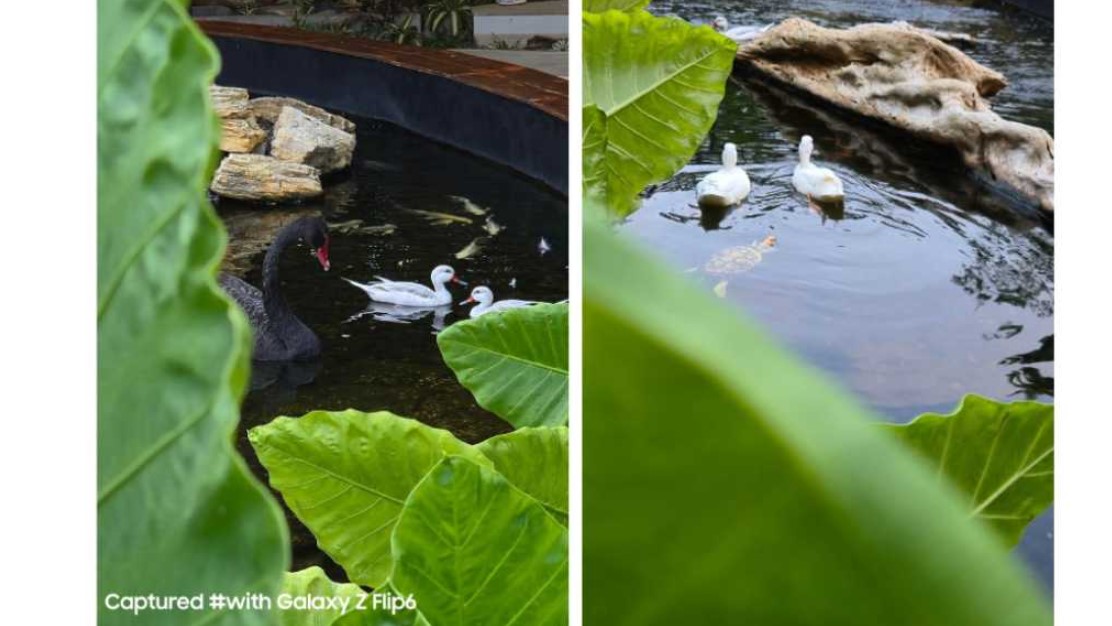 Cara Jago Visual Storytelling dengan AI di Galaxy Z Flip6 ala Kreator Claudia Didi