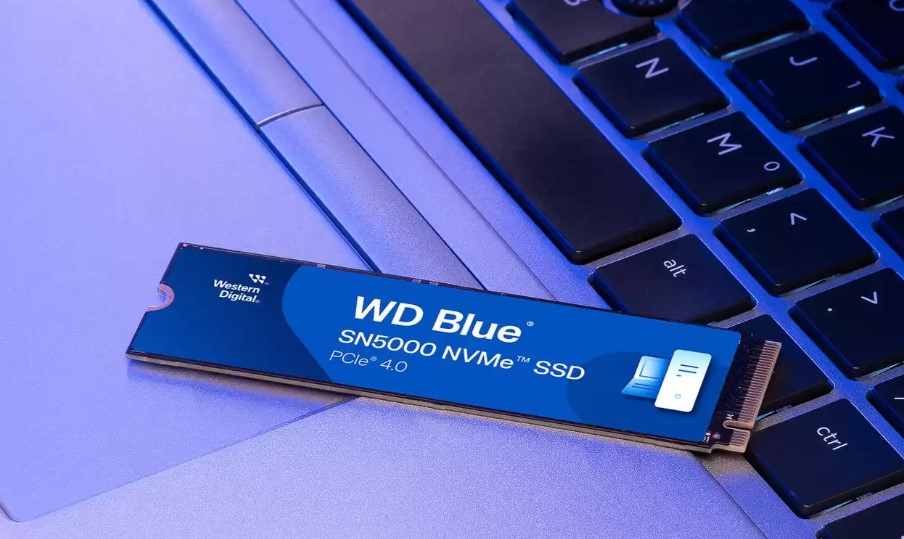 WD Blue SN5000 NVMe SSD Resmi Hadir di Indonesia, Tawarkan Penyimpanan Canggih untuk Kreator Digital