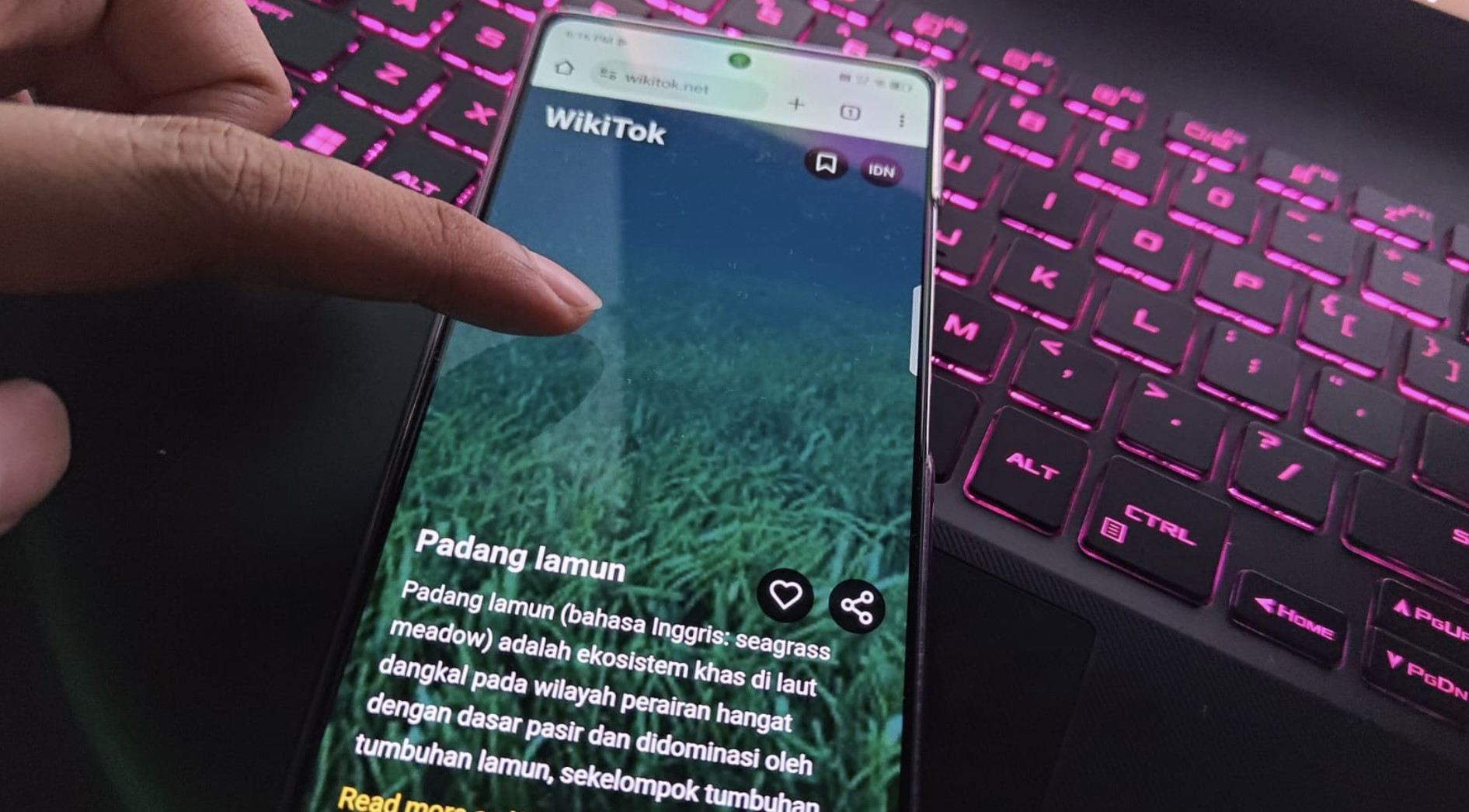 10 Fakta WikiTok yang Perlu Kamu Tahu