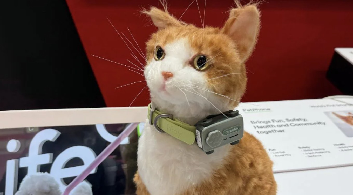 8 Teknologi Paling Keren di MWC 2025: Laptop Tenaga Surya, LiFi, Smartphone untuk Hewan Peliharaan, dan Banyak Lagi