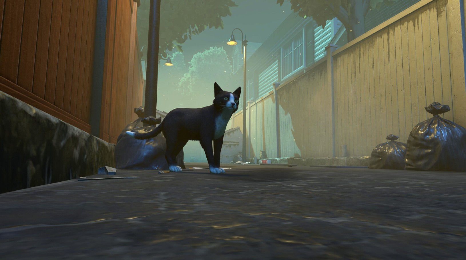 Copycat, Game Petualangan Kucing Penuh Emosi, Siap Meluncur ke PS5 dan Xbox Series 29 Mei