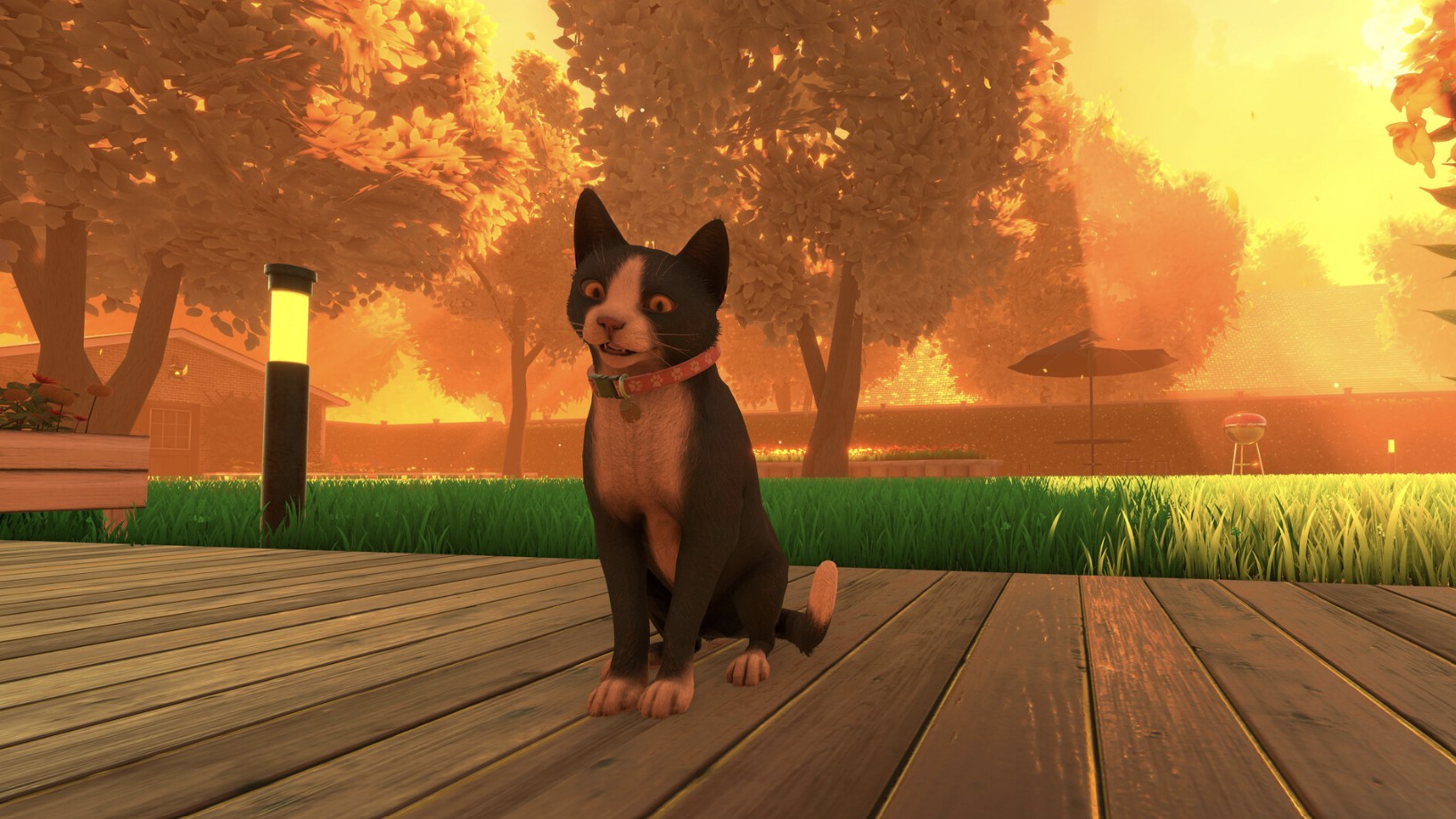 Copycat, Game Petualangan Kucing Penuh Emosi, Siap Meluncur ke PS5 dan Xbox Series 29 Mei